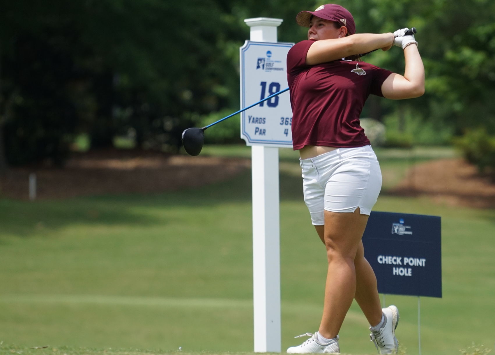 NCAA Regional - Round 3